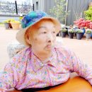 모니카의정원 네이버블로그