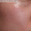 비담플러스