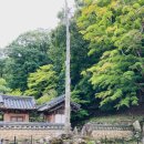 지정31 이미지