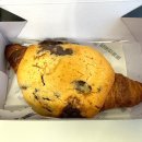 카페인중독숙대 이미지