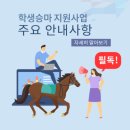인천남동승마클럽 | [인천 학생승마] 인천남동승마클럽 솔직 이용 후기! 예약 꿀팁부터 준비물까지 총정리 🐎✨
