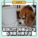 분홍강아지 | 퓨어나인 셀프케어 S9 강아지 자동급수기 6개월 사용 후기