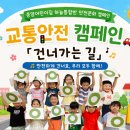 💙 하늘통합반 8월 2주 🚦어린이 안전문화 캠페인 『교통안전-어린이 교통안전 수칙』(가정연계미션) 💙 이미지