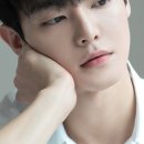 314005 이미지