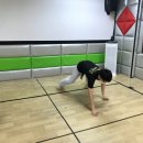 송화태권도 이미지