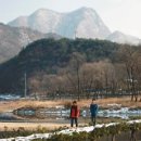 박인규농장 이미지