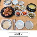시래 | 경기광주쭈꾸미 제대로 즐긴 시래마을 경기 광주점 한식 정식 후기