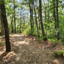 팔공보성- 왕산- 서응해산- ★도덕산- 산곡지-서리지-칠곡경대역 2 이미지