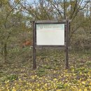 우륵문화마당 이미지