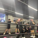 STS BOXING 이미지