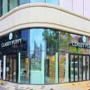 퍼피 그라운드 이미지