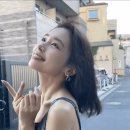 오지말라는 바다표범 이미지