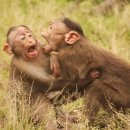 운위 | 매일매일을 이겨낼 수 있는 정도가 그 꿈을 사랑하는 정도