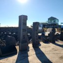 상동물양장 이미지