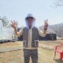 동국한의원 | 동국 대학교 공진단, 후기보다 중요한 2가지
