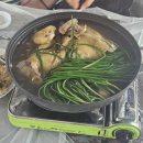 거북가든 | 충북 옥천 여름휴가 / 대전 인근 / 더위 피신 계곡 휴가지 거북가든