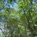 갈맷길(6-2구간) 이미지