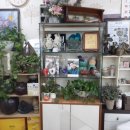 웃는돈지국수가 이미지