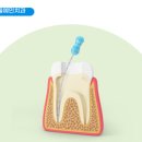 서울예인치과의원 이미지