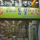 반석동물병원 이미지