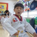 도담태권도장 이미지