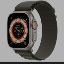 Apple Watch Ultra 가격.JPG 이미지