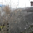 송정리 고인돌 이미지