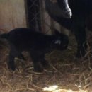 가산농장 이미지