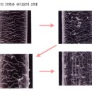 서종우헤어 이미지