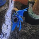 이마트24연수풍림점 | 송도 누수!! 송도동 누수!! 송도 풍림아이원 누수!! 아래층 누수 원인!!