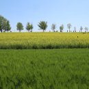 축동마을 경로당 이미지