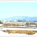 호수공원1길 이미지