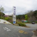 자연식당 이미지