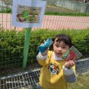 강담어린이집 이미지