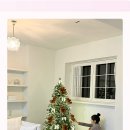 인형속으로 이미지