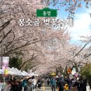 GS25(통영용화사점) | 통영 봉숫골 벚꽃축제 다녀온 후기 벚꽃명소