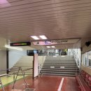 산두꺼비식당 | 일본 도쿄 근교 명소 추천 🌿 츠쿠바산 로프웨이 타고 두꺼비 돌까지 가본 후기!