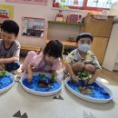 Hug연계활동-한천바다 만들기 이미지