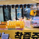 서귀포매일올레시장 | 제주 서귀포야시장 매일올레시장 먹거리 후기