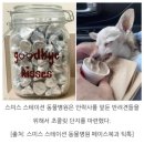 안락동물병원 이미지