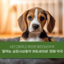 동탄365약국