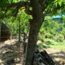 한울개발 이미지