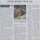 금빛나라