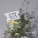 케이즈플로라 | 진주 꽃케이크 정규(기초) 수업 후, 창업하신 수강생님 응원가요~!
