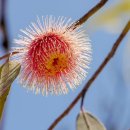 주일목장 이미지