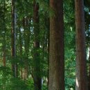 새들가든 이미지