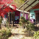 메뚜기 펜션 이미지