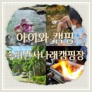 🏕️ 속리산 사나래 캠핑장 후기｜아이와 자연 가득한 캠핑 한 번 다녀오세요!