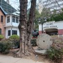 대구 동산병원 구관(大邱 東山病院  舊館) | 대구 동산병원 구관