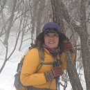 농소중학교 이미지